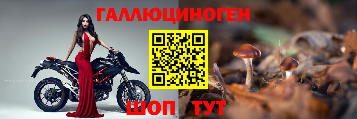 закладки  Вход с VPN  Кызыл  Галлюциногенные грибы Magic Shrooms 